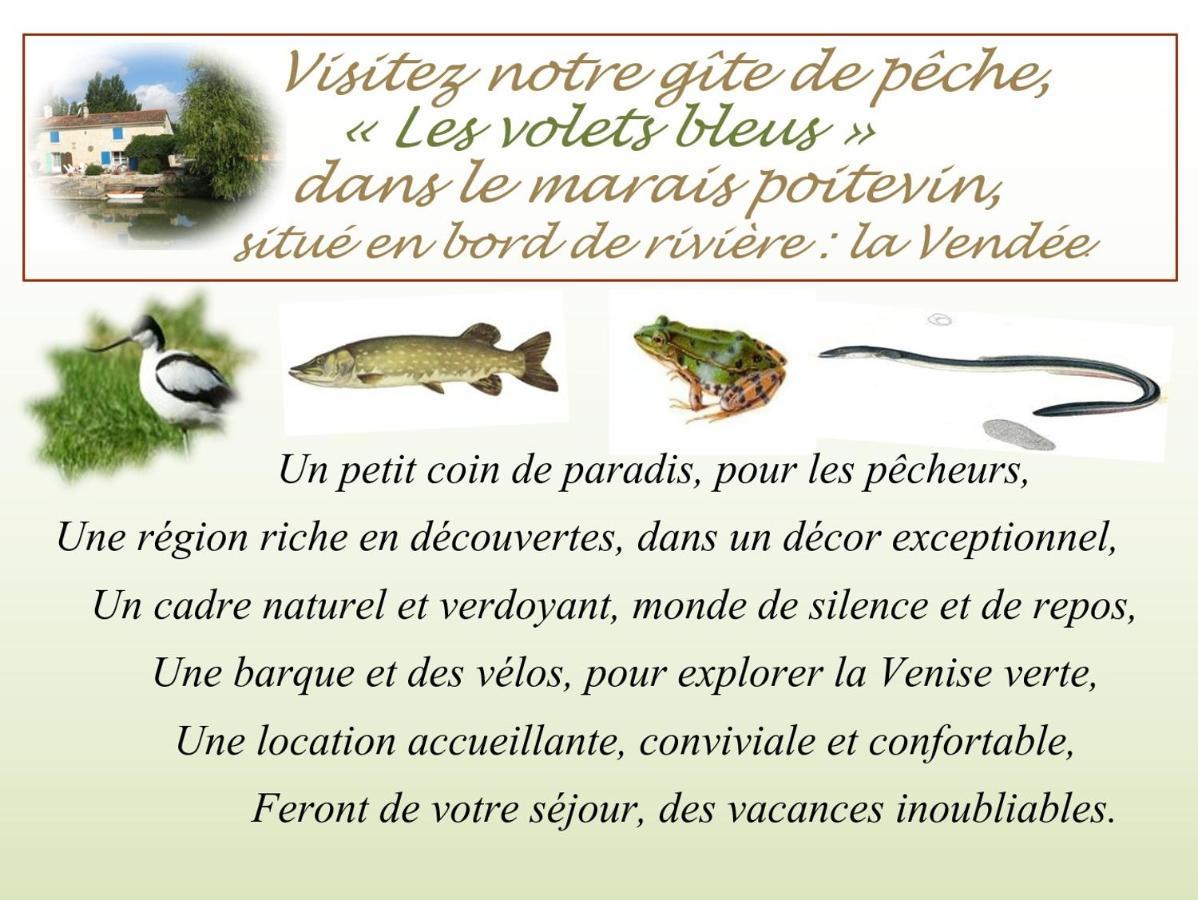Marais Poitevin Bord Riviere Peche ,Barque, Velos, Wifi, Linge, Cheminee, Cuisine, Terrain De Boules La Taillee Buitenkant foto