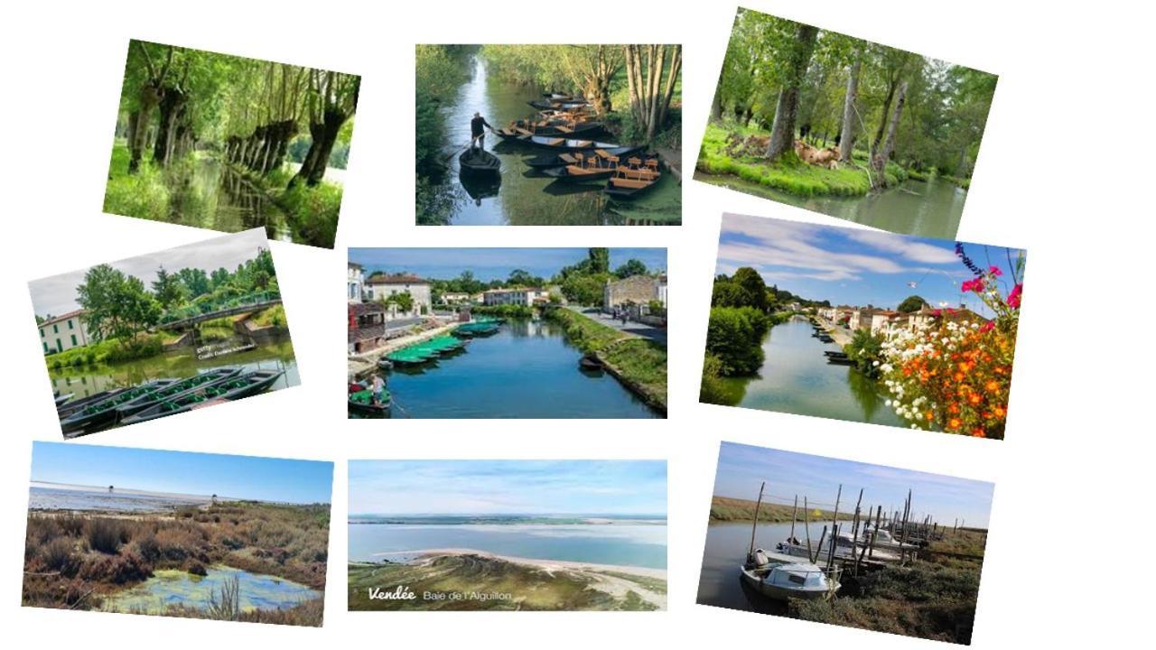 Marais Poitevin Bord Riviere Peche ,Barque, Velos, Wifi, Linge, Cheminee, Cuisine, Terrain De Boules La Taillee Buitenkant foto